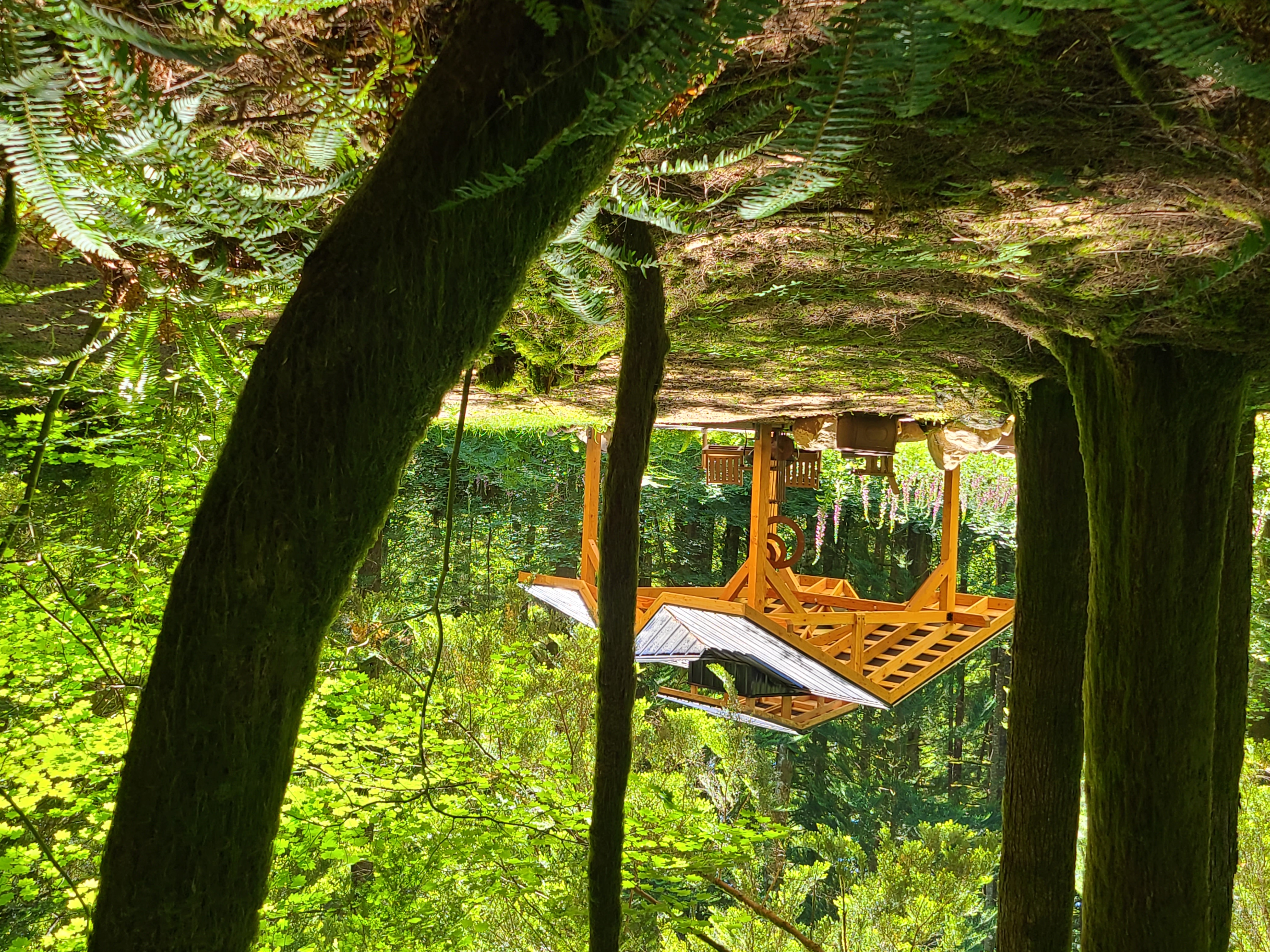 Gazebo through trees